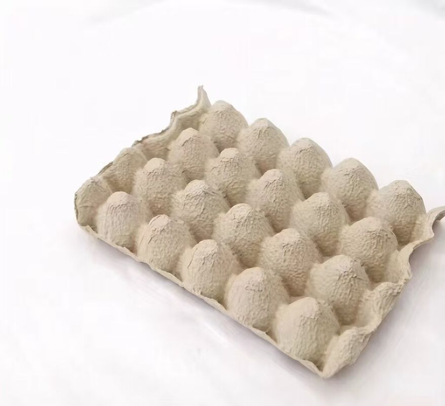 Durable Consumer Product Packaging Solutions Designed to Enhance Shelf Appeal and Protect Products During Transport