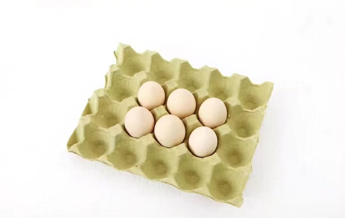 Paper Options Coffee Table Book Printing Services Offering Durable Binding Fast Turnaround and Custom Layouts For Corporate Marketing