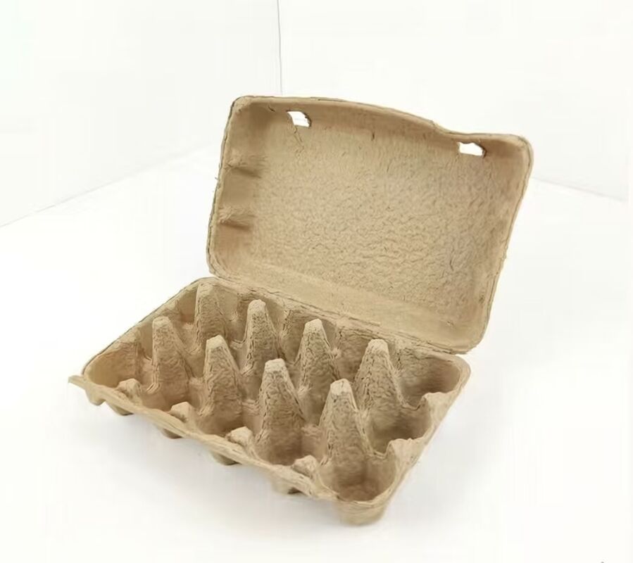 Compostable Eco Friendly Plastic Packaging Options Supporting Green Supply Chains and Eco Conscious Business Practices