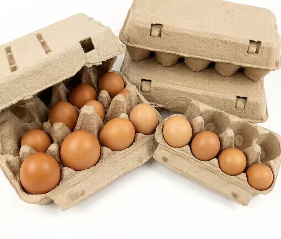 Microwave Safe Eco Friendly Takeaway Packaging Offering Sustainable Food Containers for Restaurants Cafes and Catering Businesses